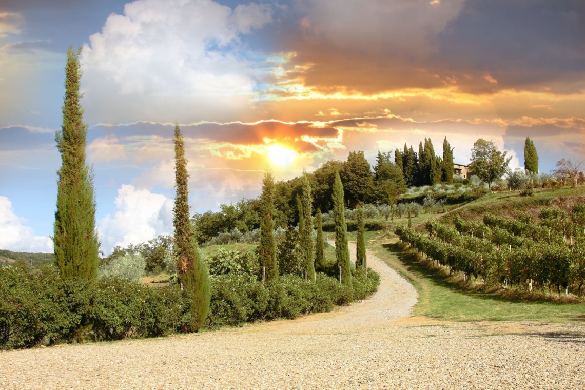 Paisagem de vinhedo em Chianti na Toscana, Itáília.